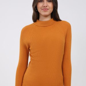 Women Yellow Solid T Neck Full Sleeve Sceavy