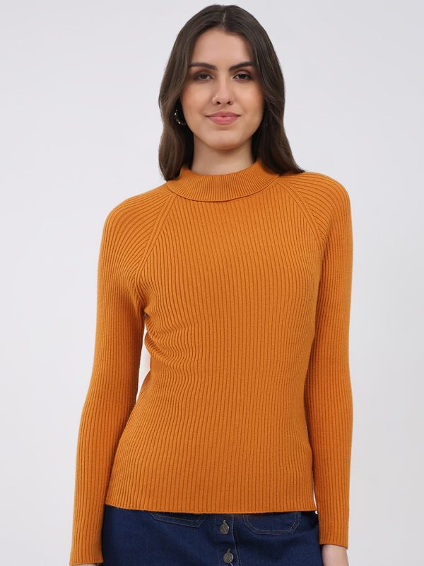 Women Yellow Solid T Neck Full Sleeve Sceavy